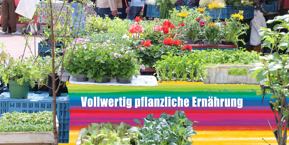 Vollwertige pflanzenbasierte Ernährung