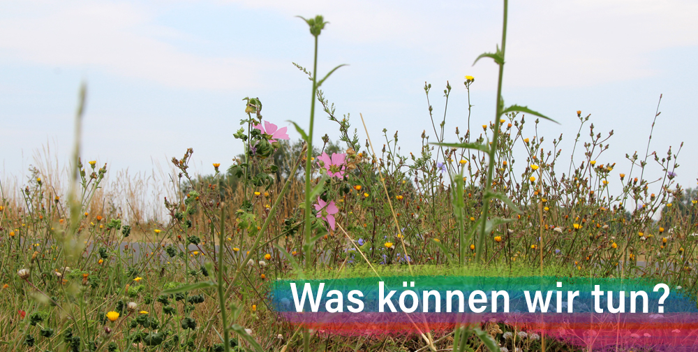 Was können wir tun?