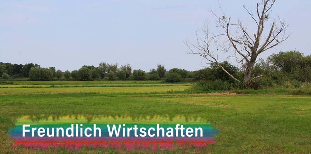 Freundlich Wirtschaften
