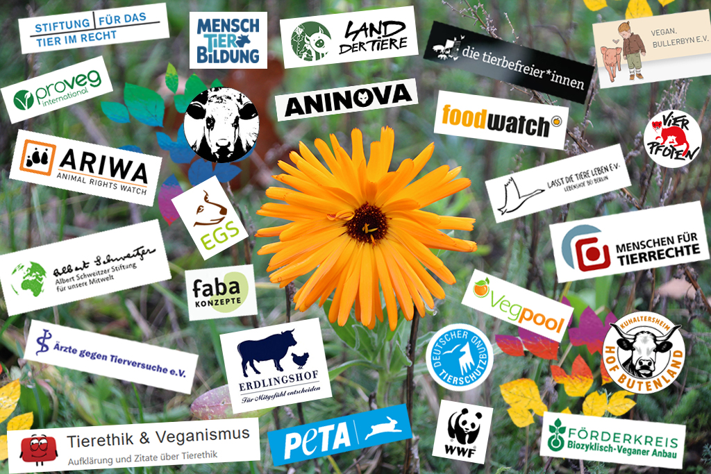 Unterstützenswerte Projekte